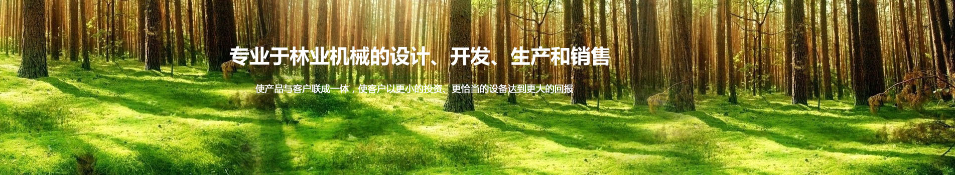 Second slide
